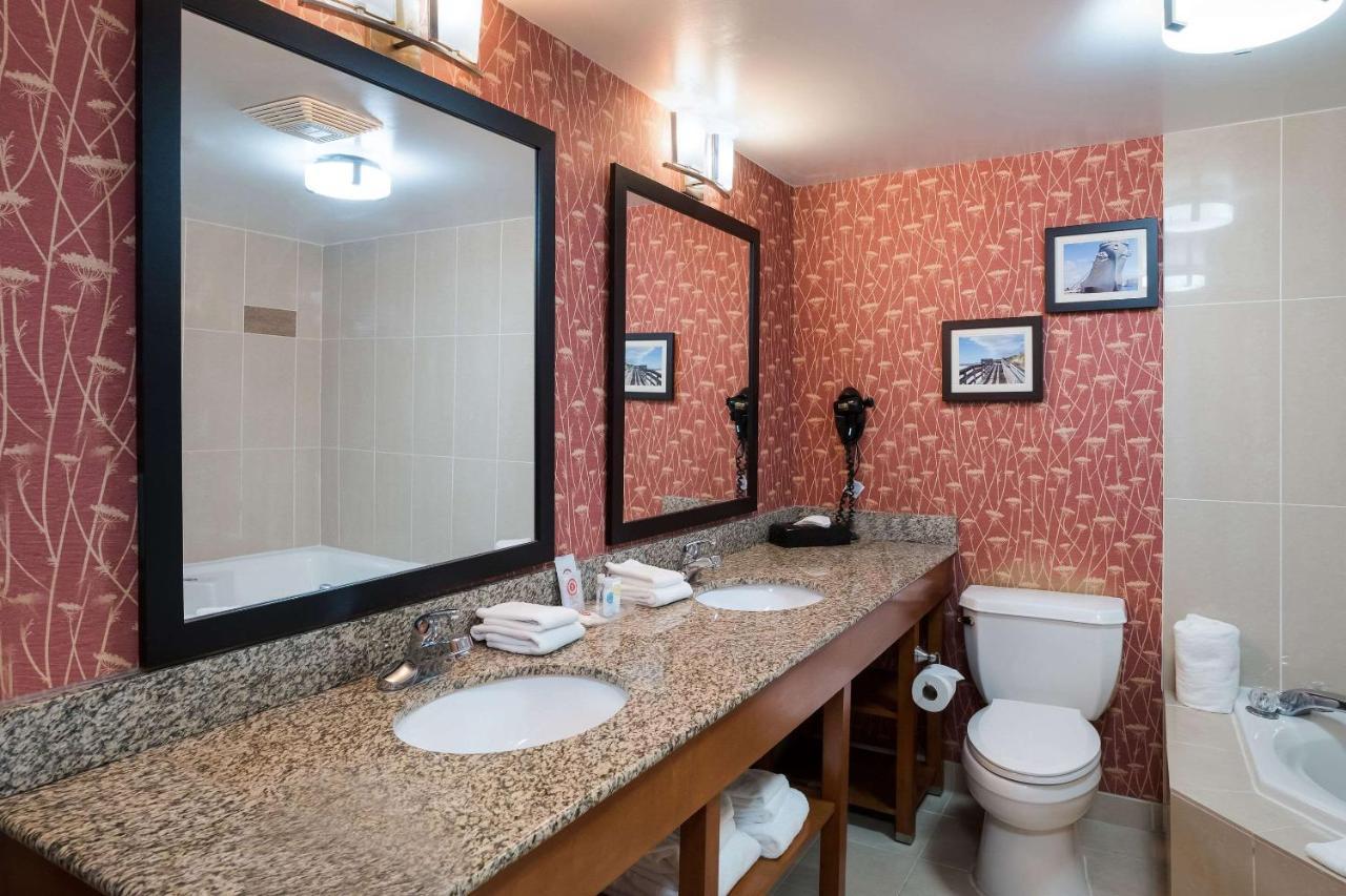 Comfort Suites Suffolk - Chesapeake Buitenkant foto